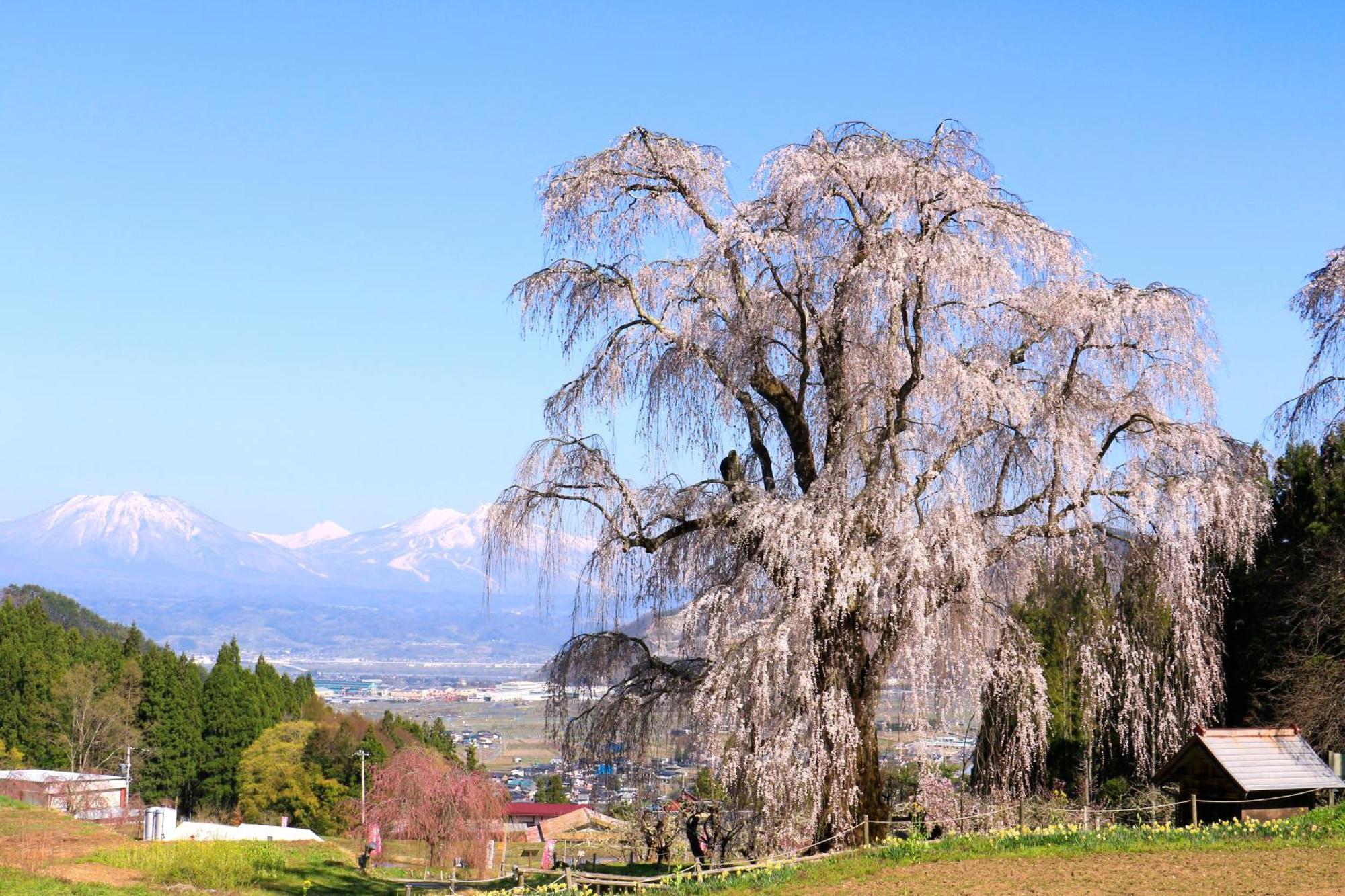 Fujiiso (Adults Only) Takayama (Nagano) Exterior foto